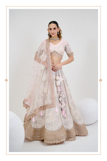 Soft Pink Bridal Net Lehenga with Hand Embroidery and Dupatta