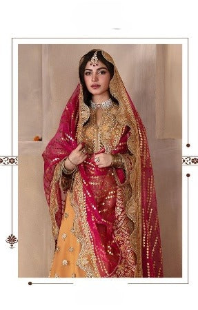 Ziaaz Designer Pakistani Suit D.No.428-A