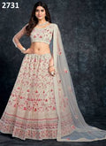 Heavy Net Bridal Lehenga Choli