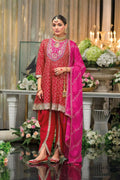 Salwar Suit