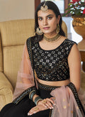 Party Wear Lehenga Choli