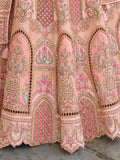 Soft Pink Embroidered Lehenga with Delicate Work