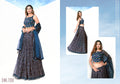 Vaayu Fancy Wear Lehenga D.No 77200 - Anant Tex Exports Private Limited