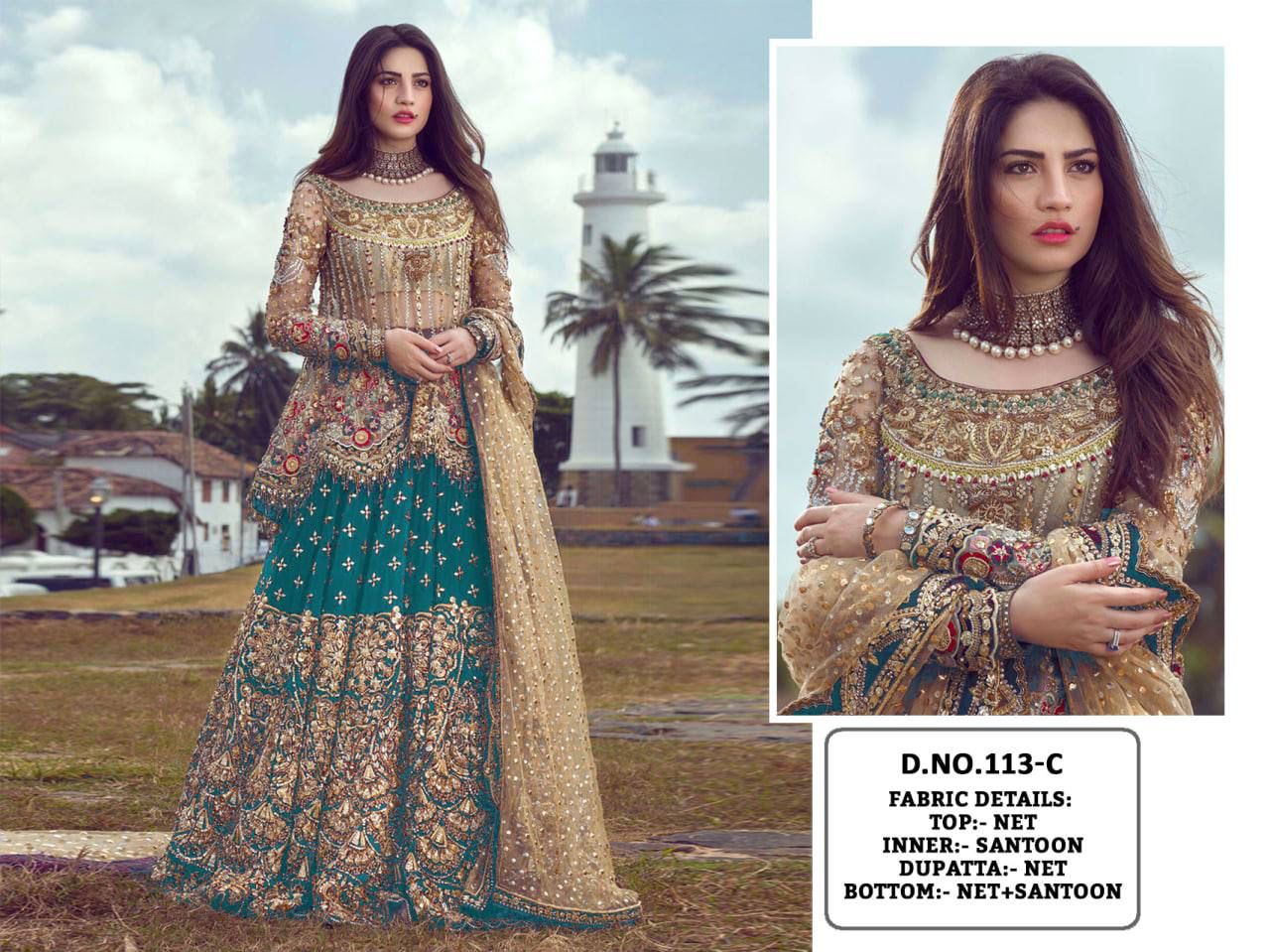 Beautiful Designer New Pakistani Dress Design 113