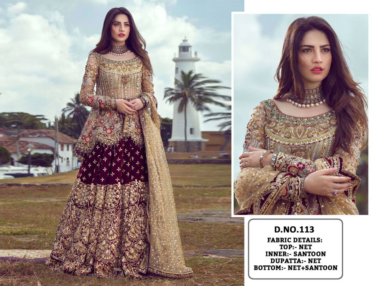 Beautiful Designer New Pakistani Dress Design 113