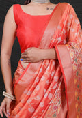 Organza Saree