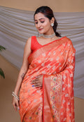 Organza Saree