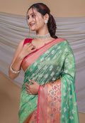 Orgenza Saree