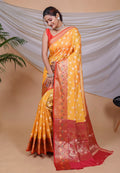 Orgenza Saree