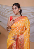 Orgenza Saree