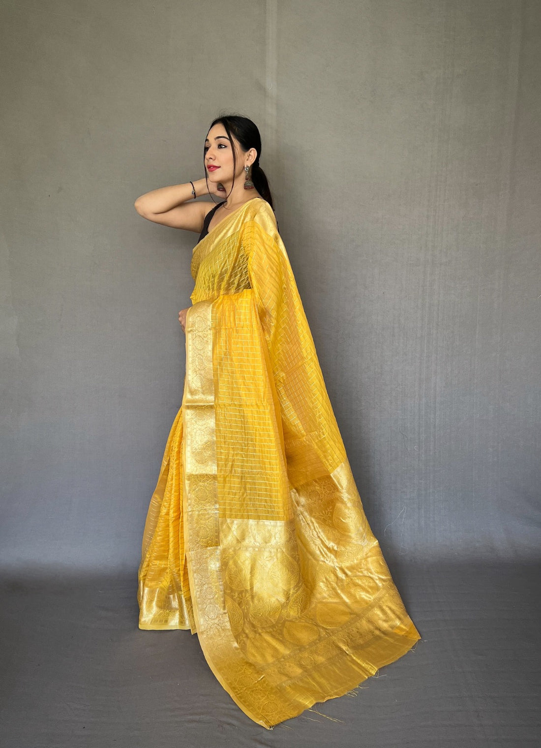 Beautiful Designer Organza Checks Saree