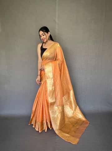 Beautiful Designer Organza Checks Saree