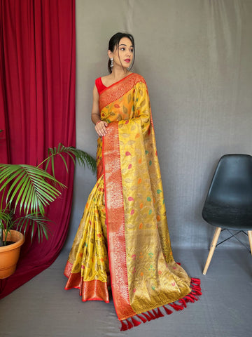 Beautiful Designer Sitara Jaal Pure Tissue Silk Saree