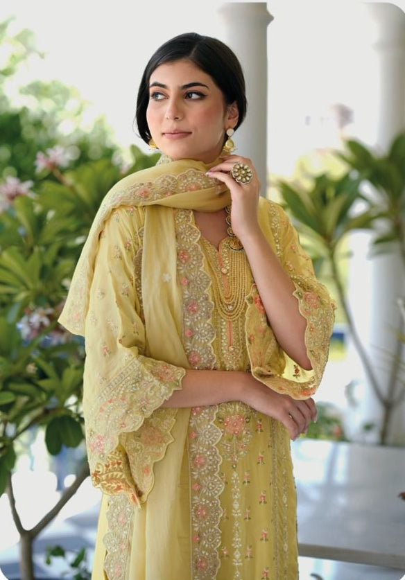 Zaveri Anaya Soft Orgenza Pakistani Salwar Suit Collection (1699x04)