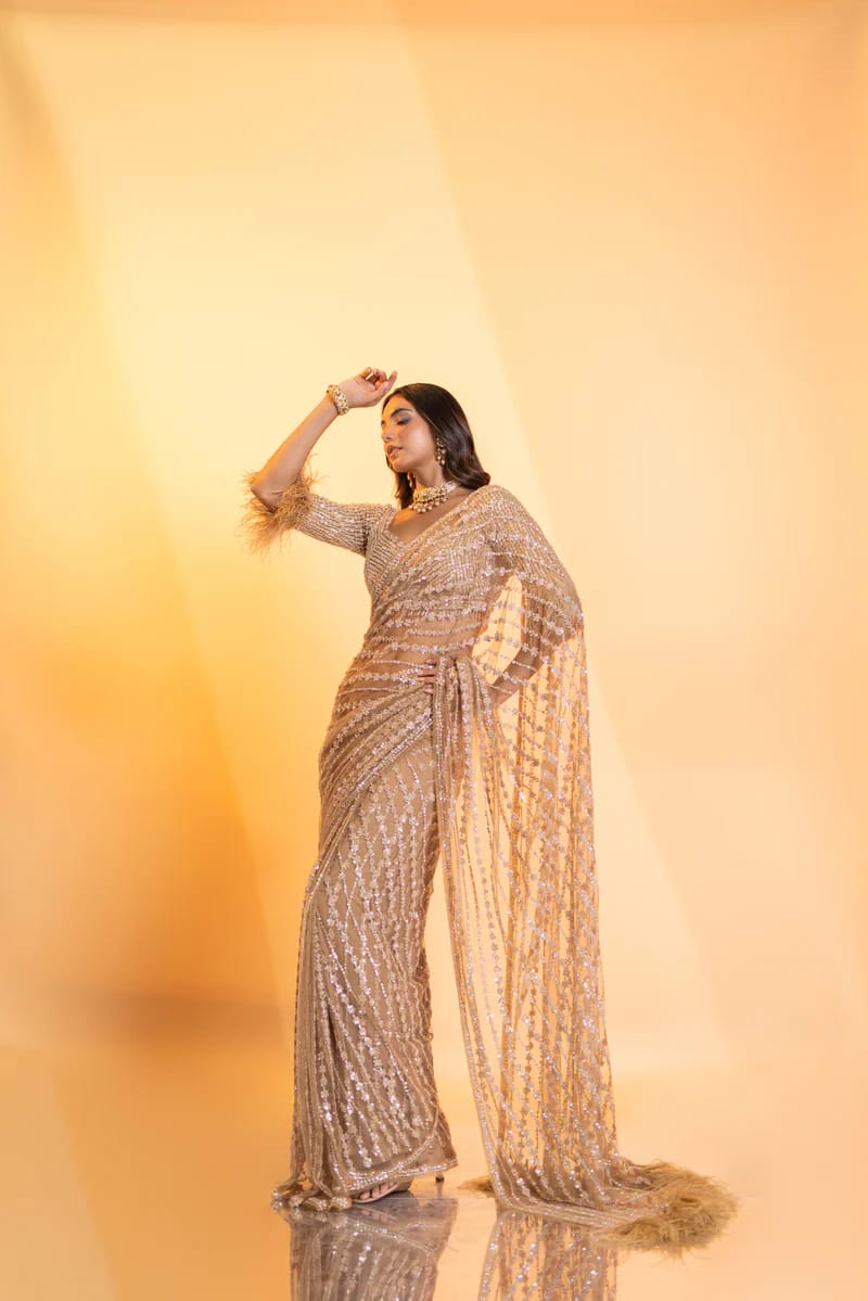 Sequence Saree