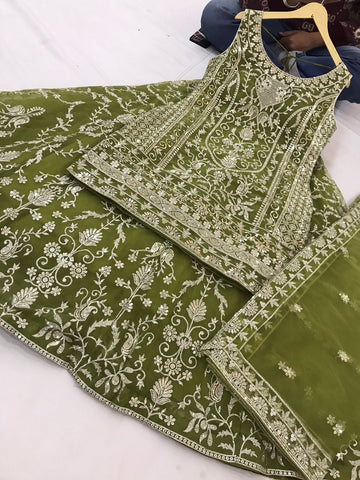 Beautiful Designer Punjabi Salwar Suit