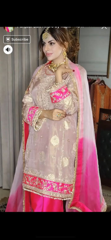 Beautiful Designer Wedding Punjabi Salwar Suit