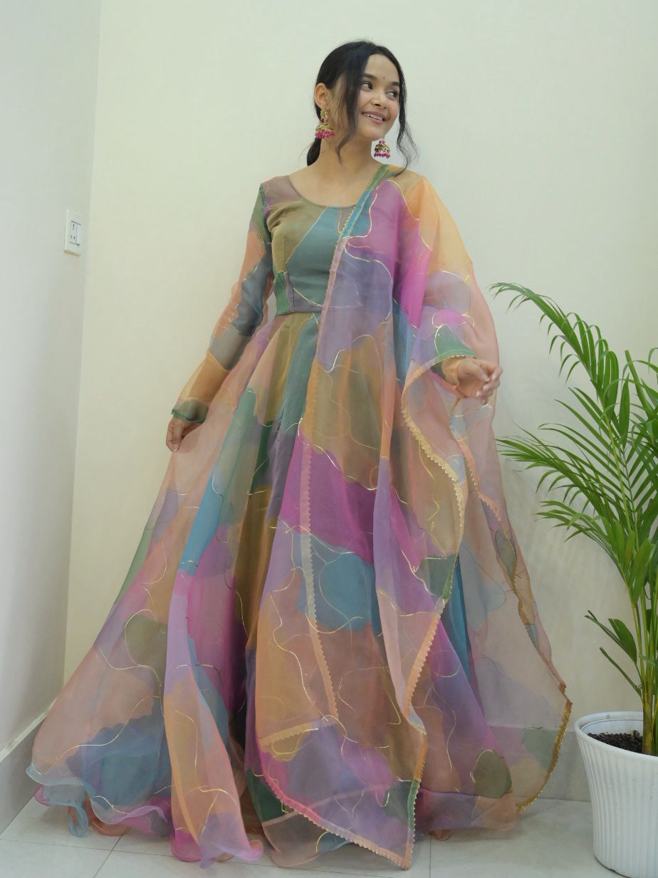 Party Wear Look Organza Taby Silk Gown