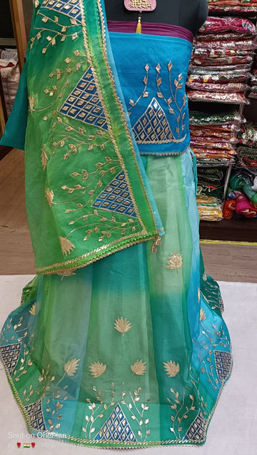 Beautiful Designer Rajasthani Rajputi Poshak