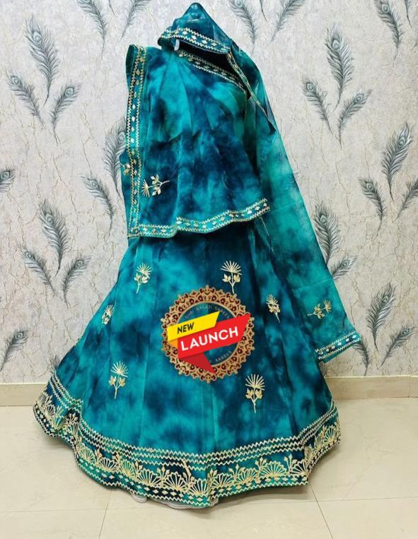 Beautiful Rajasthani Traditional Pure Organza Lehenga Choli