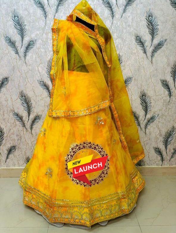 Beautiful Rajasthani Traditional Pure Organza Lehenga Choli