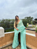 Georgette Sequanc Saree