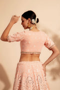 lehenga choli for wedding