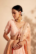 lehenga choli for wedding