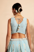 lehenga choli design for ladies