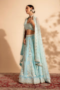 lehenga choli design for ladies