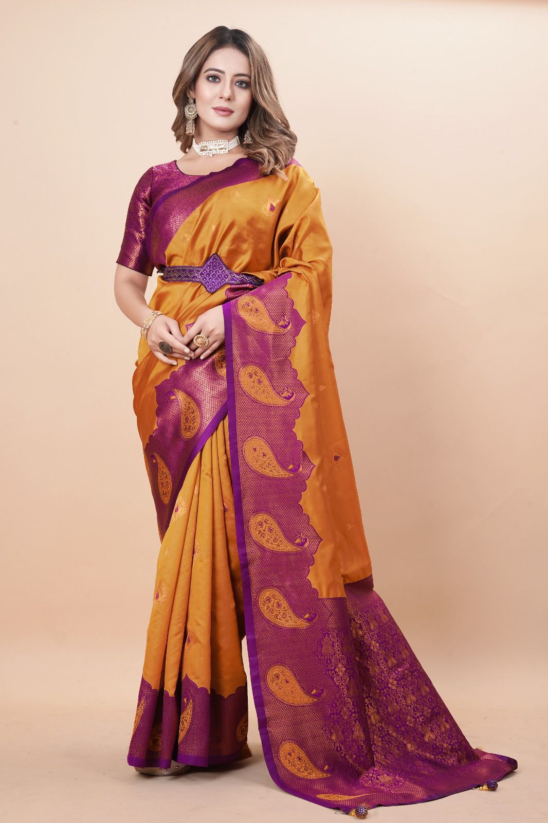 Beautiful Designer Soft Banarasi Silk Saree