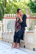 Party Wear Salwar Suit