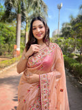 Butterfly Net Saree