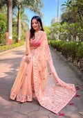 Butterfly Net Saree