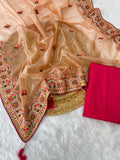 Butterfly Net Saree