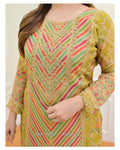 Party Wear Salwar Suit