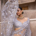 Mono Net Sequance Saree