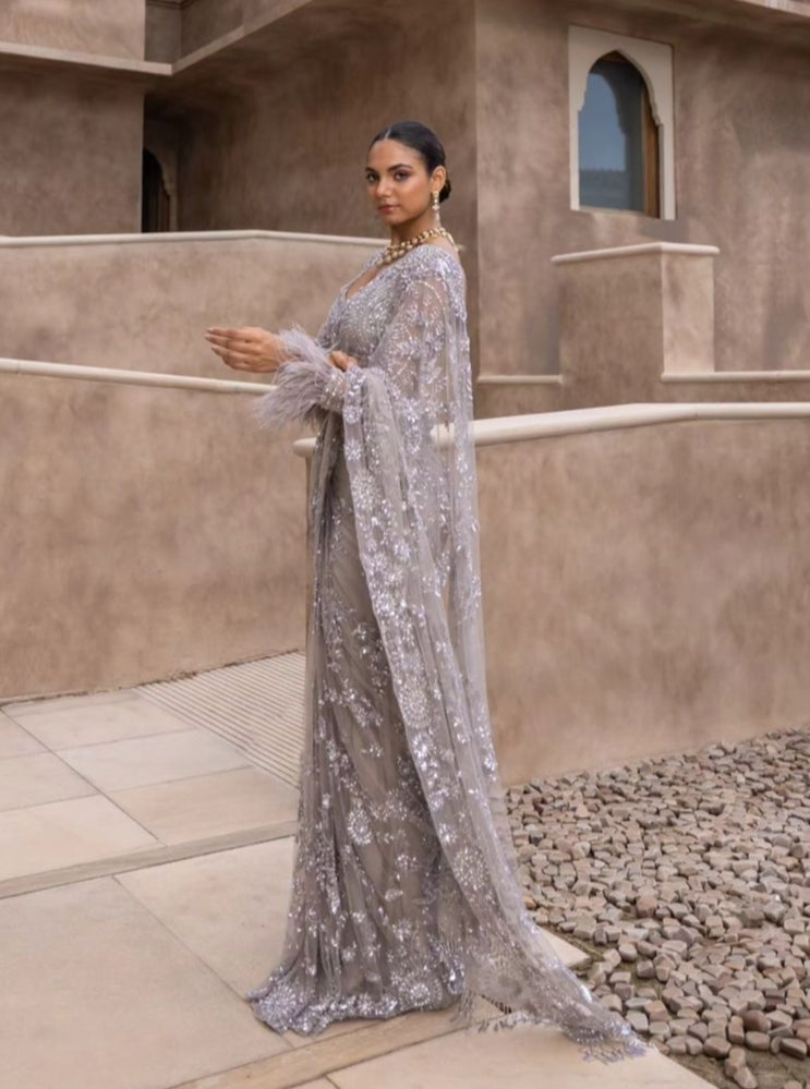 Mono Net Sequance Saree