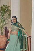 Party Wear Lehenga Choli