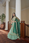 Party Wear Lehenga Choli