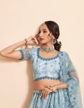 Elegant blue net lehenga with heavy embroidery and zarkan work.