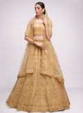 Luxurious golden net lehenga with intricate embroidery and stone embellishments.