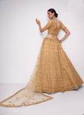 Luxurious golden net lehenga with intricate embroidery and stone embellishments.