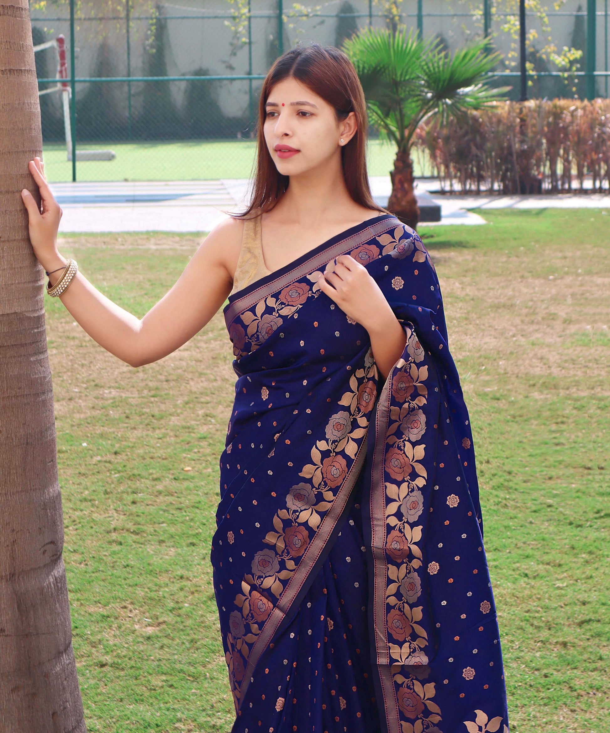 Banarasi Silk Saree