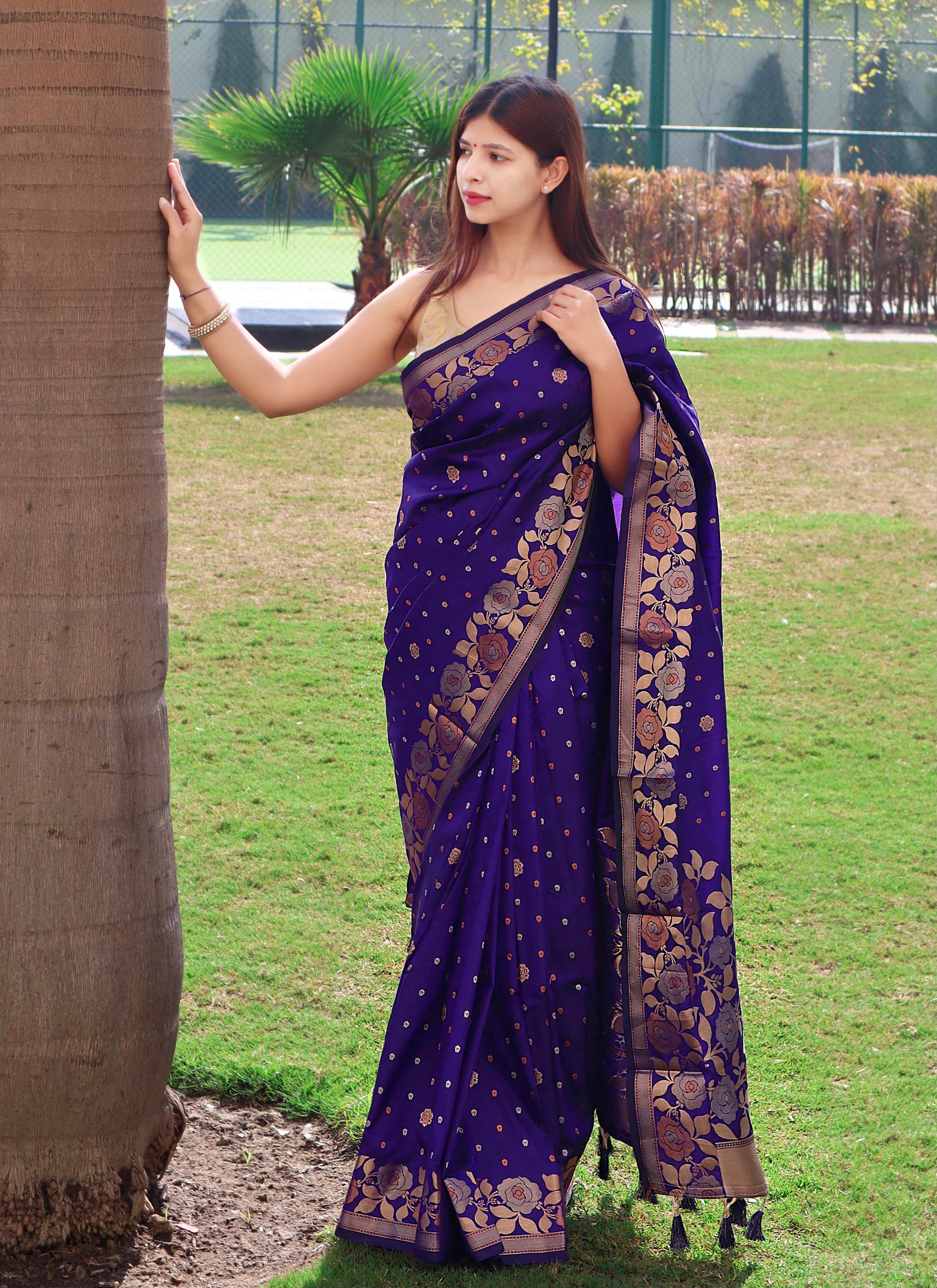 Banarasi Silk Saree