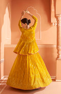 Yellow Chinon Silk Lehenga with Gold and Pink Embroidery