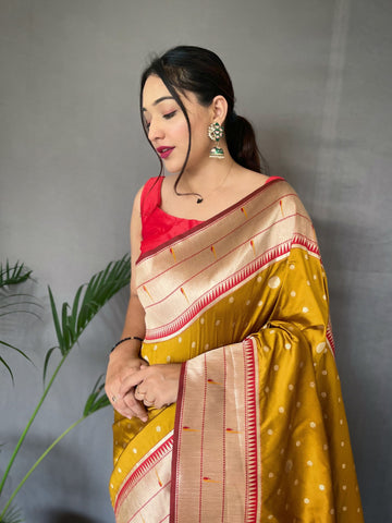 Banarasi Saree