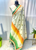 Tiranga Saree for Independence and Republic Day