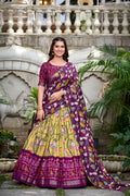 Navaratri Pichwai & Patola Printed Lehenga Choli