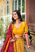 Navaratri Leheriya With Patola Print Border Lehenga Choli